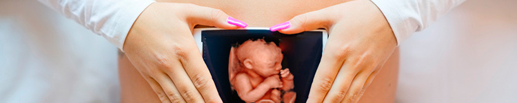 3D УЗИ беременности в Чертаново